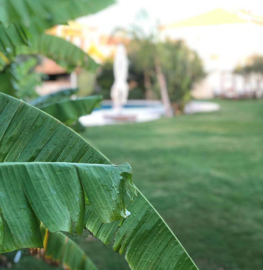 Triangulo Hotel Alaçatı Exteriér fotografie